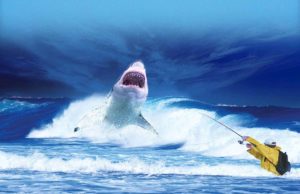 Megalodon Vs Blue Whale Size: How Bigger Is Megalodon Than Blue Whale Megalodon Vs Blue Whale Size