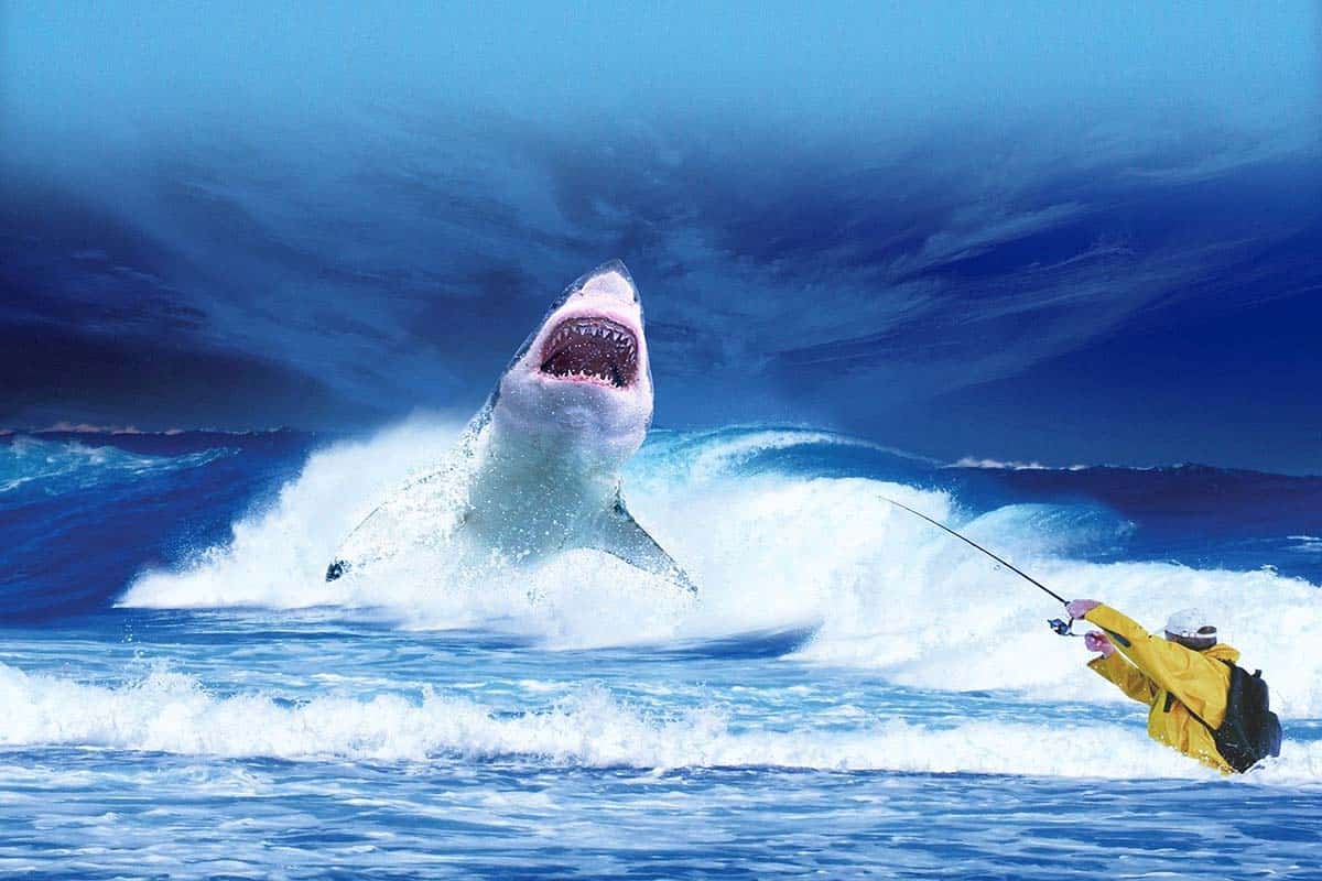 Megalodon Vs Blue Whale Size: How Bigger Is Megalodon Than Blue Whale