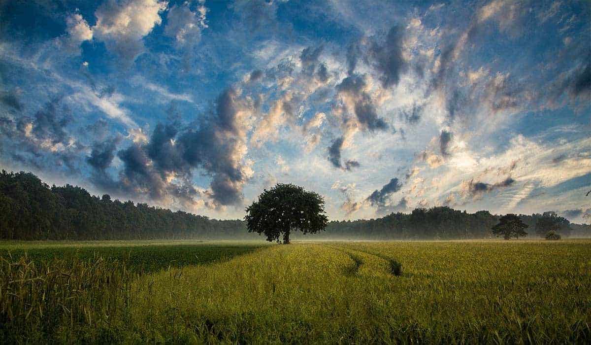 Can It Rain Without Clouds Maine News Online