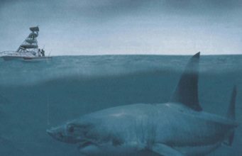 Dunkleosteus Vs Megalodon: What Is The Difference? Dunkleosteus Vs Megalodon