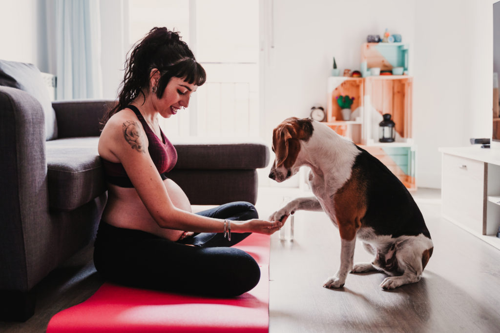 pregnant woman with dog