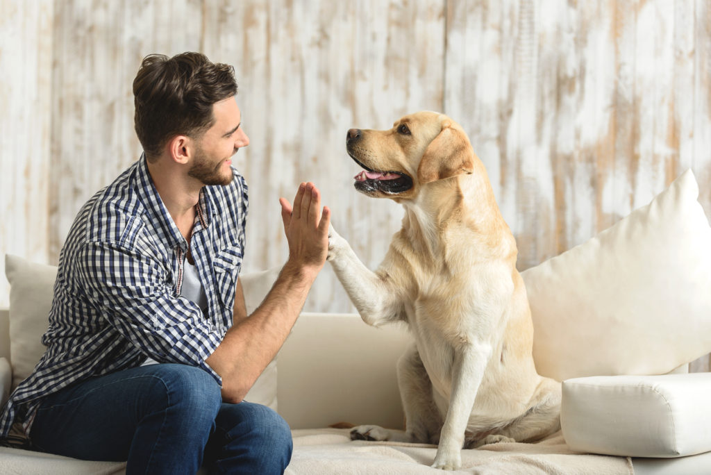 dog and owner