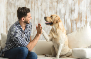 How To Keep Your Pet Dogs Healthy While Staying At Home dog and owner