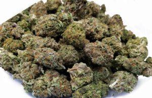 Which Is The Best Online Dispensaries? Which Is The Best Online Dispensaries