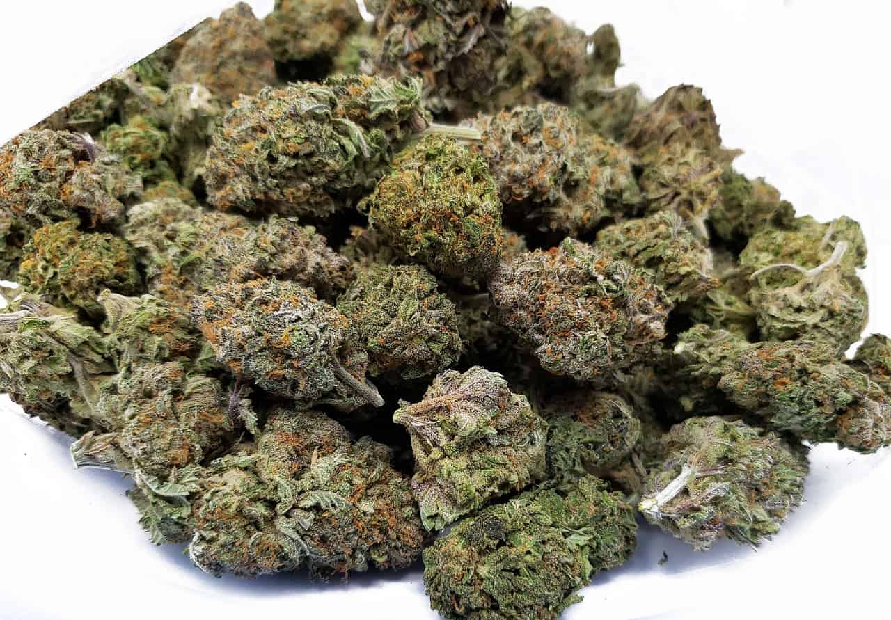 Which Is The Best Online Dispensaries