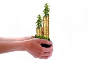 Value Investing: What You Need To Know Value Investing: What You Need To Know