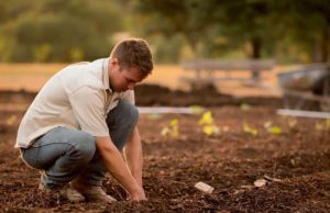 How To Start A Farm: 7 Steps To Successful Farming How To Start A Farm