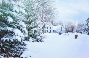 Lawn Care Tips For A Cold, Harsh Winter Lawn Care Tips For A Cold, Harsh Winter