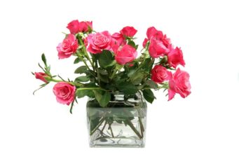 How Long Do Roses Last In A Vase? How Long Do Roses Last In A Vase