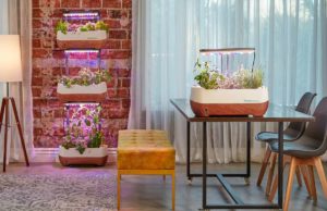 Enjoy A Great Indoor Environment With Regular Home Health Checks Enjoy A Great Indoor Environment With Regular Home Health Checks