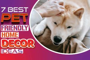 7 best pet friendly home decor ideas