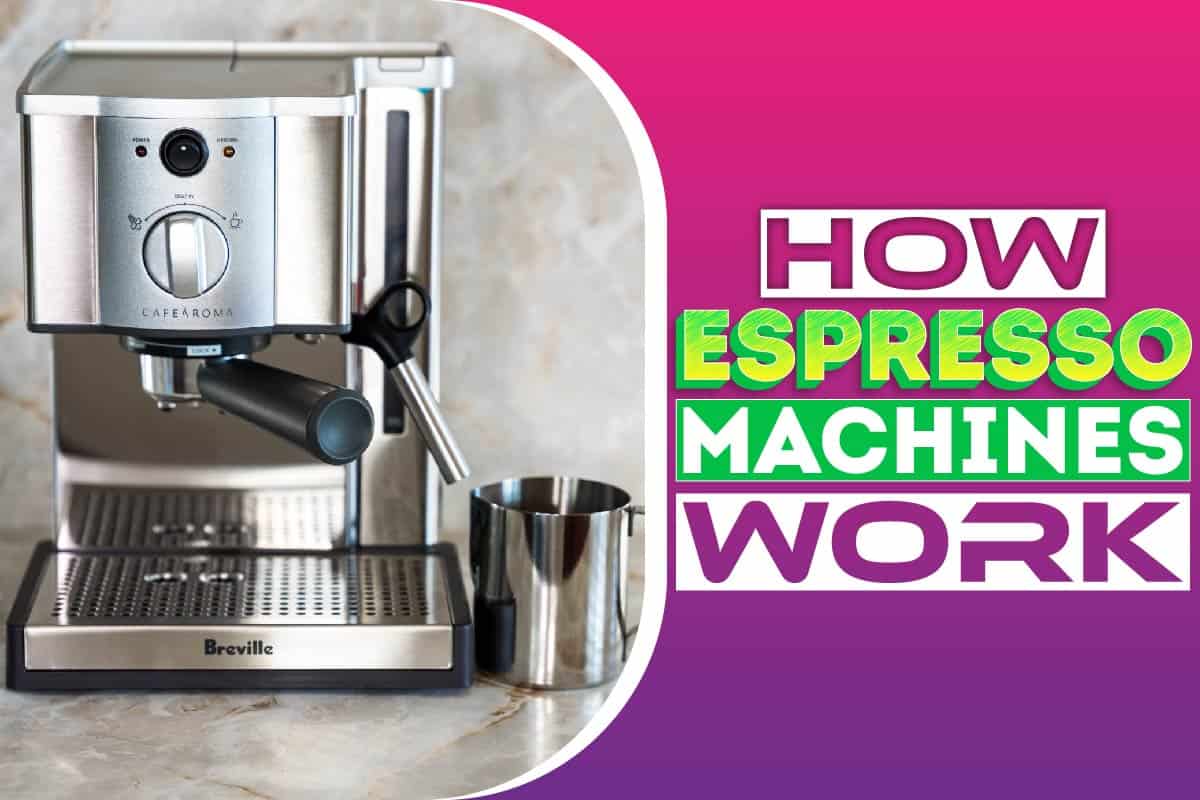 How Espresso Machines Work? Everything Explained Maine News Online