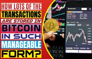 How Lots Of The Transactions Are Stored In Bitcoin In Such Manageable Form? How lots of the transactions are stored in bitcoin in such manageable form