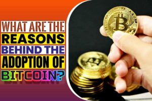 What are the reasons behind the adoption of bitcoin