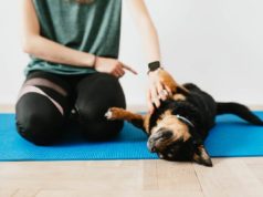 Mood-Boosting Benefits Of Owning A Dog Mood-Boosting Benefits Of Owning A Dog