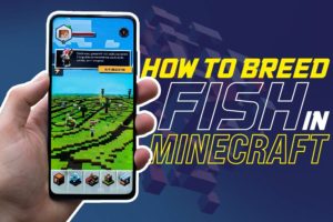How To Breed Fish In Minecraft