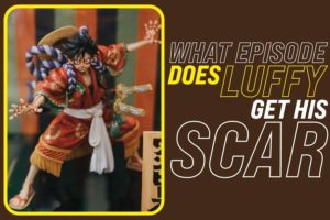 What Episode Does Luffy Get His Scar
