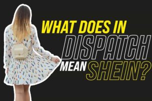 What Does In Dispatch Mean Shein