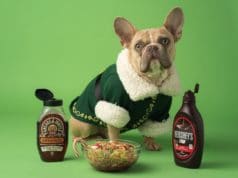 How Fast Does Chewy Ship? Your Pet’s Dietary Guardian How Fast Does Chewy Ship