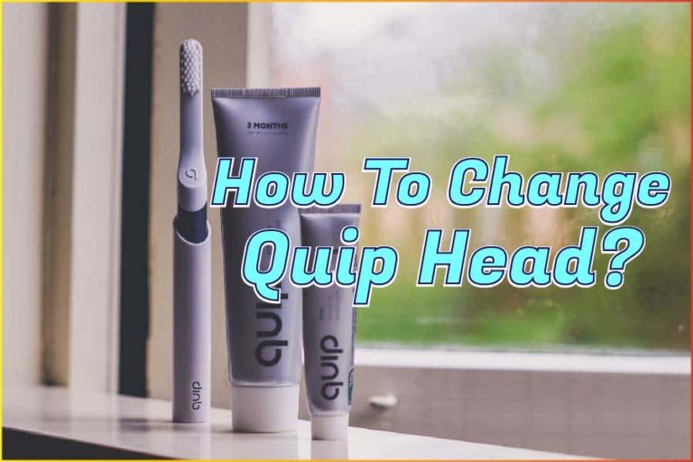 How To Change Quip Head? Detailed Steps Maine News Online