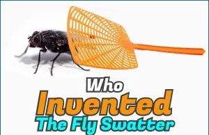 Who Invented The Fly Swatter? The History Who Invented The Fly Swatter