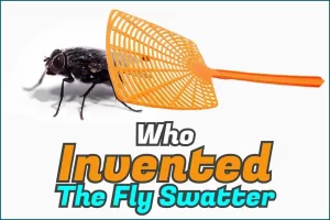 Who Invented The Fly Swatter