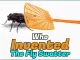Who Invented The Fly Swatter? The History Who Invented The Fly Swatter