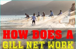 How A Gill Net Works: The Ultimate Guide To Fishing Nets How A Gill Net Works