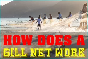 How A Gill Net Works