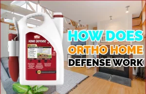 How Does Ortho Home Defense Work? DIY Insect Control Methods How Does Ortho Home Defense Work