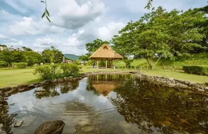 How Can Water Features Make Your Garden Look Beautiful? How Can Water Features Make Your Garden Look Beautiful