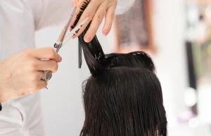 Can You Put Toner On Wet Hair? Can You Put Toner On Wet Hair