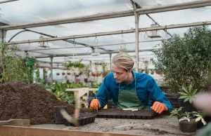 How To Start A Garden This Summer How To Start A Garden This Summer