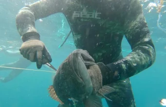 7 Best Spearfishing Destinations In The World 7 Best Spearfishing Destinations In The World