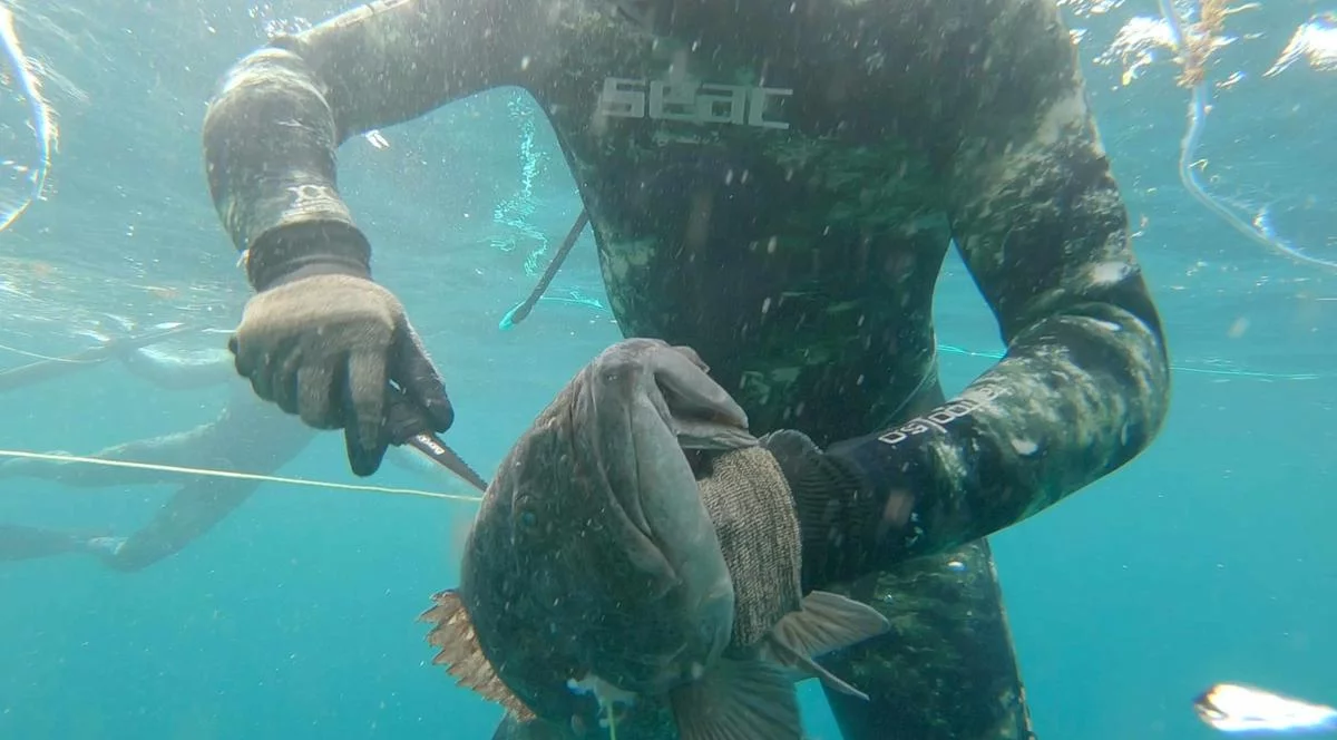 7 Best Spearfishing Destinations In The World