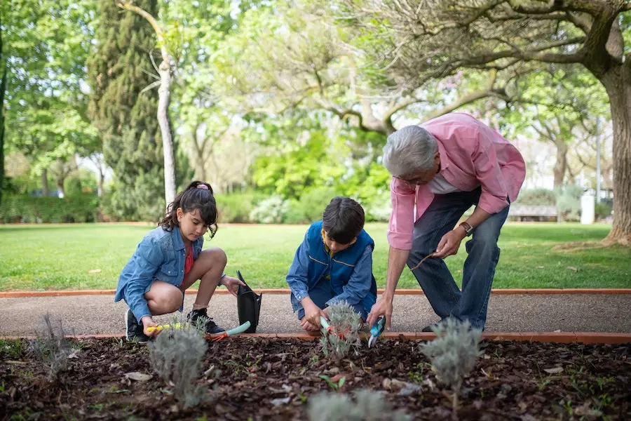 How To Get Rid Of Weeds Without Poisoning Your Garden