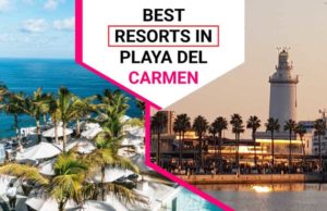 The 10 Best Resorts In Playa Del Carmen The 10 Best Resorts In Playa Del Carmen