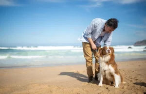 Diet And Nutrition For Constipated Dogs Diet And Nutrition For Constipated Dogs