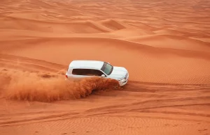 Dubai’s Best Desert Safari Options Dubai's Best Desert Safari Options