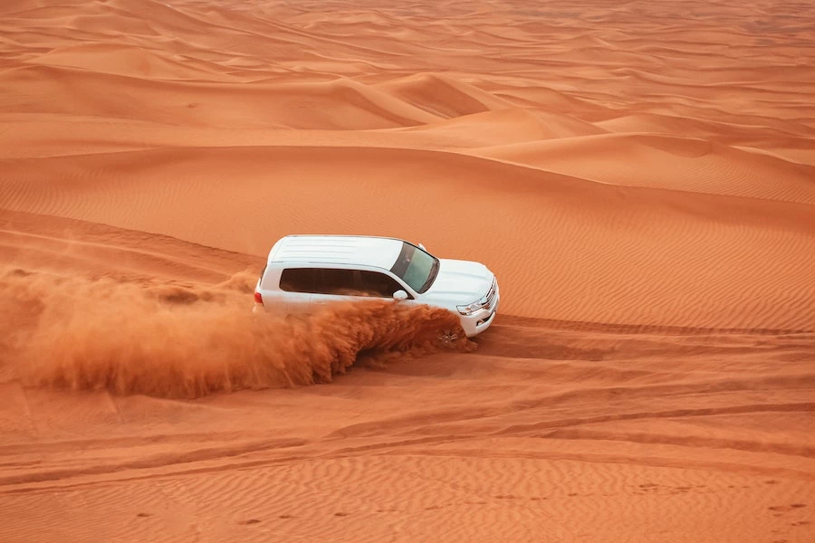 Dubai's Best Desert Safari Options