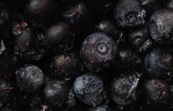 Are Frozen Blueberries Good For You Are Frozen Blueberries Good For You