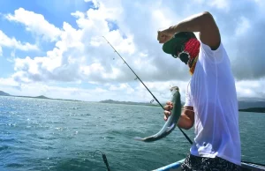 Charter Fishing: The Benefits And Drawbacks Charter Fishing