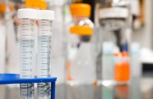 Does Lexapro Show Up On A Drug Test? Facts You Need To Know Does Lexapro Show Up On A Drug Test