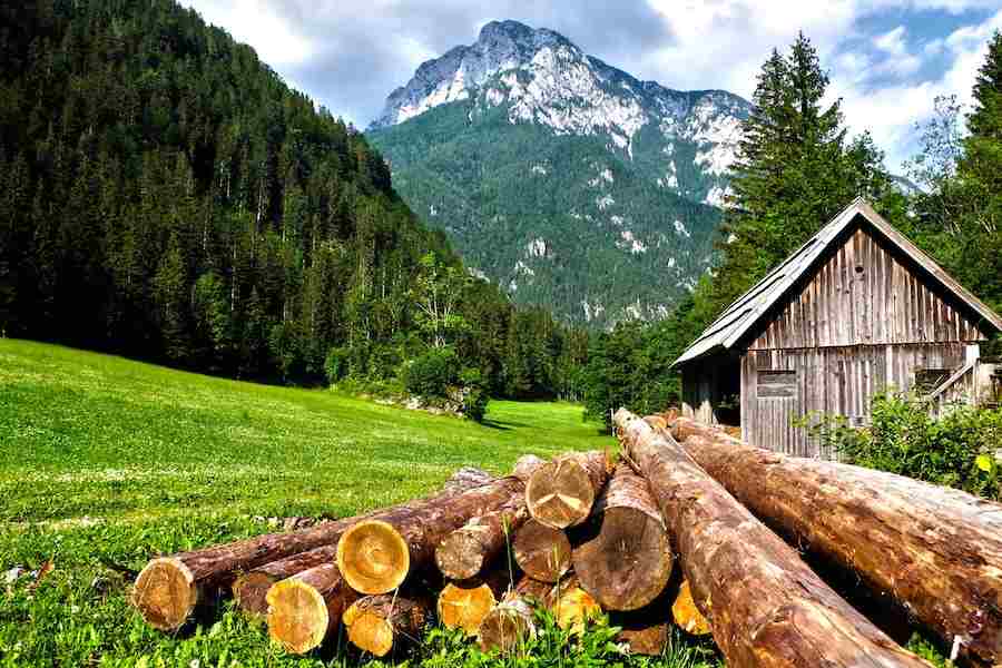 How To Build A Log Cabin From Trees