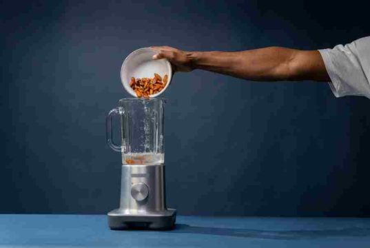 Can You Grind Meat In A Blender? The Answer, Explained Can You Grind Meat In A Blender