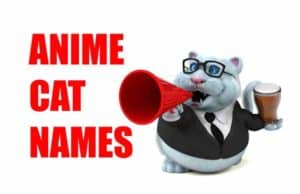 240 Anime Cat Names: Adorable Names To Inspire You! Anime Cat Names