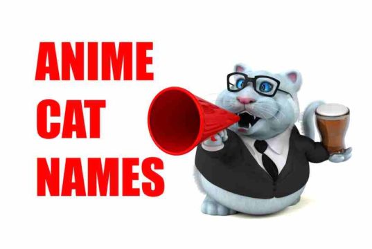 240 Anime Cat Names: Adorable Names To Inspire You! Anime Cat Names