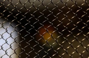 The Benefits Of Investing In High-Quality Heras Fencing For Your Business Benefits Of Investing In High-Quality Heras Fencing For Your Business