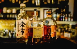 The Impact Of Alcohol On Gut Health The Impact Of Alcohol On Gut Health