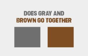 Does Gray And Brown Go Together? Unveiling The Beauty  Does Gray And Brown Go Together